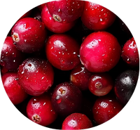 Ingredient Title